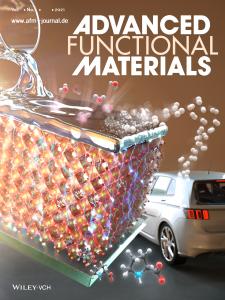 서세훈 박사의 논문이 Advanced Funtional Materials에서 논문의 우수성을 인정받아 저널 Back Cover으로 선정되었습니다. 이미지