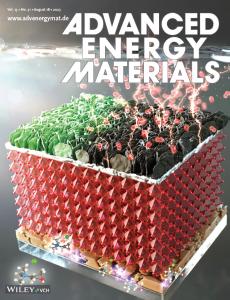 Our paper (Dr. Choi and Seo) is featured on the front Cover of Adv. Energy Mater. 이미지