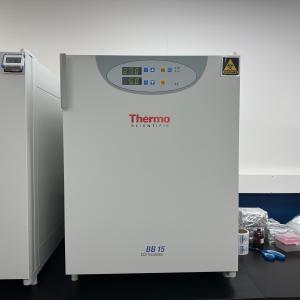 CO2 incubator Thermo 이미지