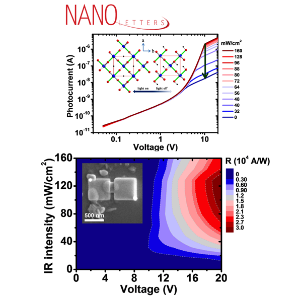 Ultrafast Infrared Photoresponse from Heavily Hydrogen-Doped VO2 Single Crystalline Nanoparticles