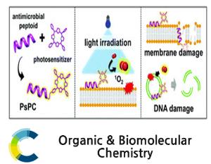 Photosensitizer-peptoid conjugates for photoinactivation of gram-negative bacteria: structure-activity relationship and mechanistic studies