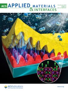 63. In Situ Growth of Nanostructured BiVO4-Bi2O3 Mixed-Phase via Non-Equilibrium Deposition Involving Metal Exsolution for Enhanced Photoelectrochemical Water Splitting (selected as a supplementary cover paper)