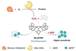 Application of Peroxidase-Mimic Mn2BPMP Boosted by ADP to Enzyme Cascade Assay for Glucose and Cholesterol