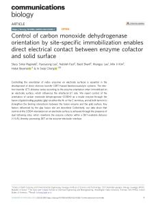 Control of Carbon Monoxide Dehydrogenase Orientation by Site-Specific Immobilization Enables Direct Electrical Contact Between Enzyme Cofactor and Solid Surface
