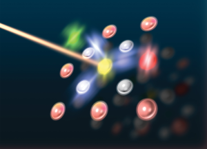Power-dependent photophysical pathways of upconversion in BaTiO3:Er3+_Selected as back cover