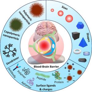 Emerging strategies to fabricate polymeric nanocarriers for enhanced drug delivery across blood-brain barrier: An overview